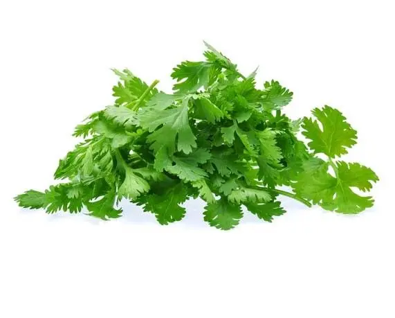 Del Monte Chopped Coriander Leaves 250g  